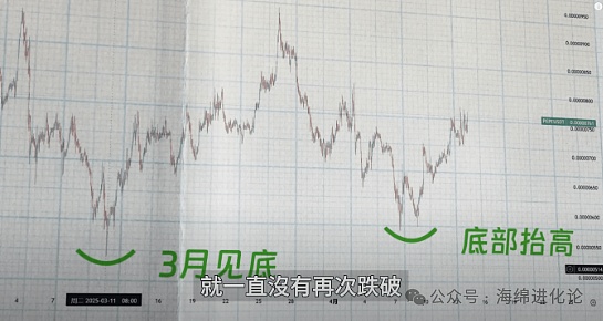 BCH市场观察：205美元支撑位成关键转折点