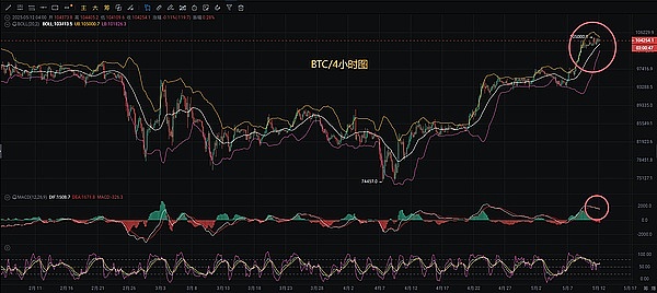 从马斯克柴犬到元宇宙巨头：FLOKI为何可能成为下一个币圈神话？
