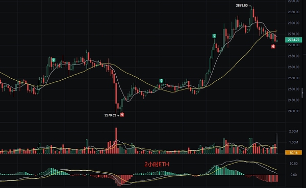 狗狗币逆势生长：500万持有者的狂欢与隐忧