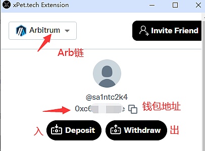 BRC-20生态深度观察：解析$MUBI与$ORDI的崛起密码