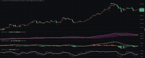 从网络热梗到元宇宙新贵：Floki的华丽转身之路