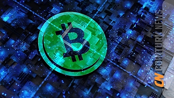 牛市冲锋号：从BTC到Meme币的全方位市场解读