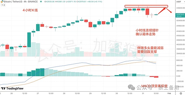 新视界XSL：一个让你赚钱的惊喜发现