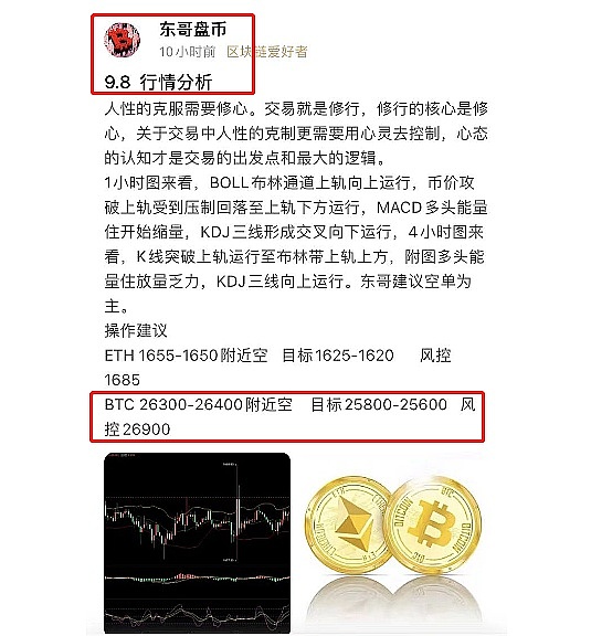当云雾邂逅乡愁：一场发生在山野间的乡村文化复兴探索