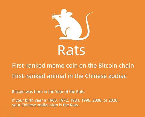 羊驼币(ALPACA)为何突然蹿红？资深投资者的独家解读