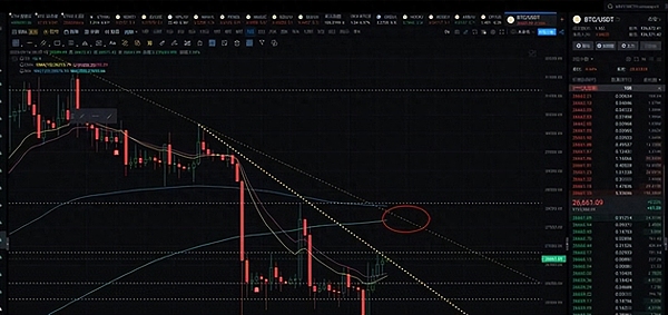 比特币减半倒计时：一场酝酿中的数字黄金风暴
